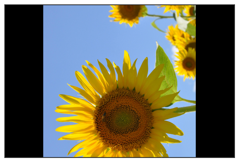 ../../_images/0c6386cf5455a0757204ebc73e22f3dc3b48f896829cd659d1e148f5c8330b42.png