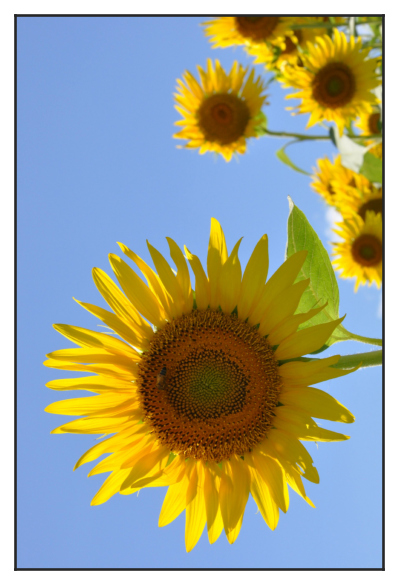 ../../_images/3db47166c11b24b3f64271644efc65f7eb5b4c85f302a3e222c00b7fce55c255.png