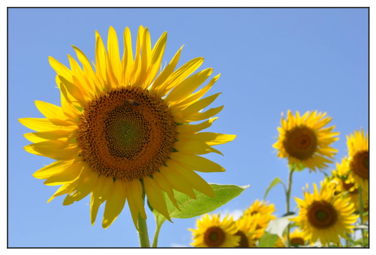 ../../_images/cc78456ba804594969059df659668ba7e7106b205b3bf1ec792e9a436b3b9b7d.png