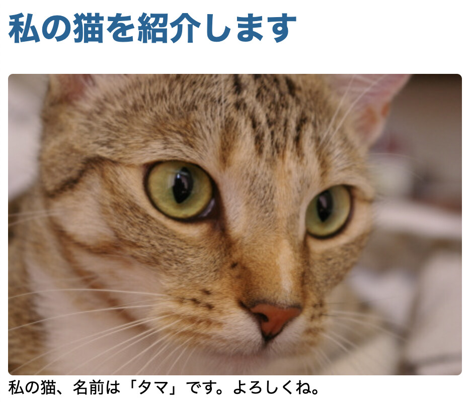 ../_images/tama_simple.jpg
